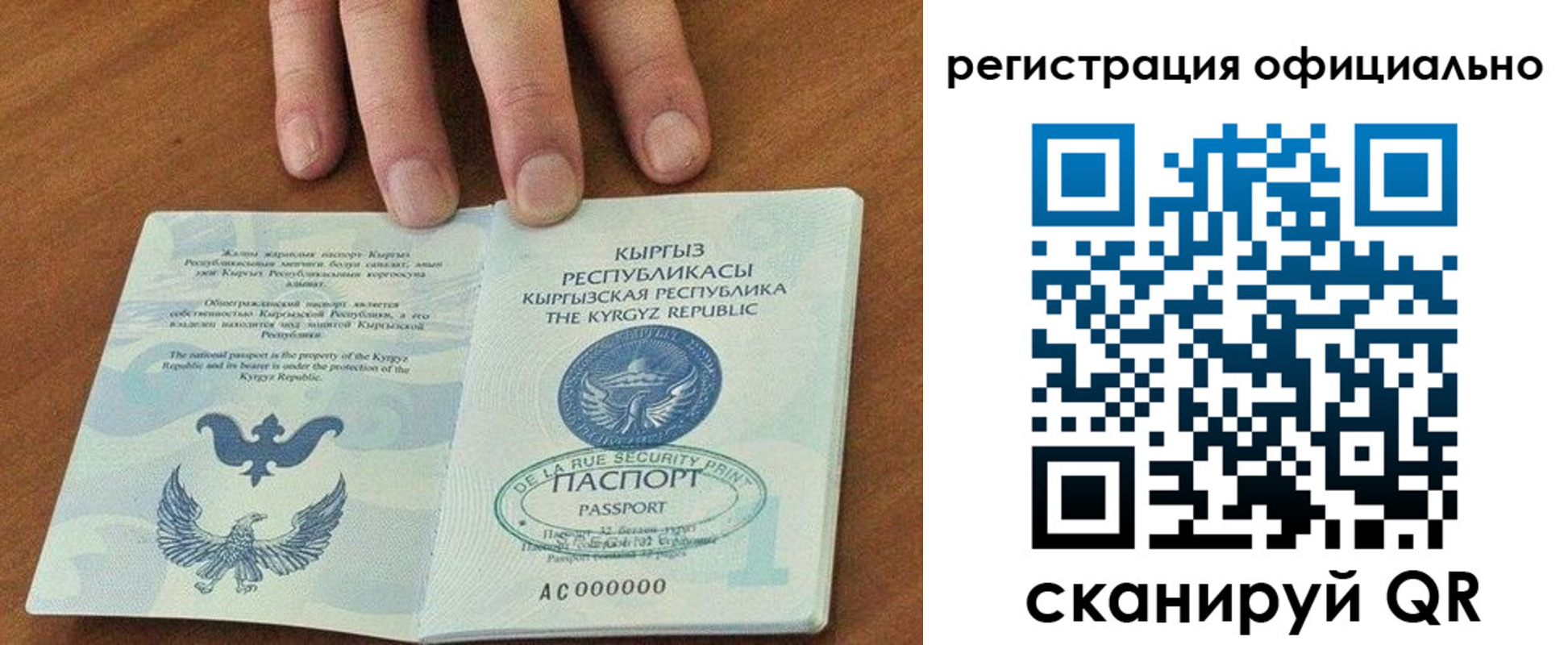 прописка в Ростовской области